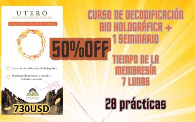 Curso DBH + Seminario de Proyecto y Sentido. Promoción Exclusiva de Ingreso.