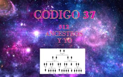 Código 37 y Transgeneracional, Tatarabuelos de los tatarabuelos, 9 generaciones.