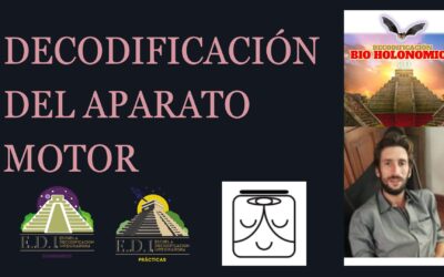 Biodescodificación del aparato motor