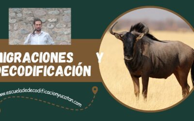 Decodificación de Migraciones, viajes, imposibilidad de viajar, distancia con los hijos, propiedades en otras ciudades, familias separadas por la distancia y temas relacionados