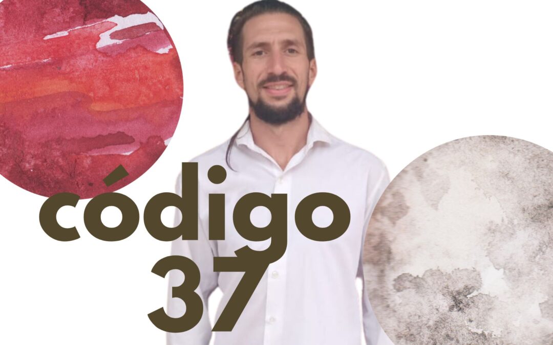 qué es el código 37, vajra, comando de dios, corazon del nueve, sincronario de tree lunas, jose arguelles, reina roja, mayas, calendario maya y biodescodificacion