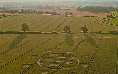 La rueda del año, el nuevo Crop Circle, la Conciencia Cósmica y la Coherencia Biológica.